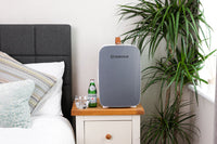Thumbnail for Pro 15L Mini Fridge - Grey | Refurbished