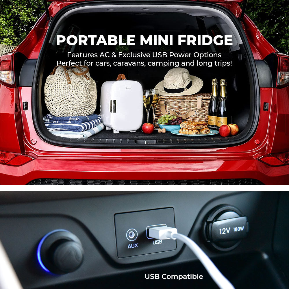 Subcold Pro 4L Mini Fridge